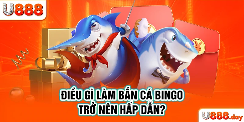 Điều gì làm bắn cá Bingo trở nên hấp dẫn?